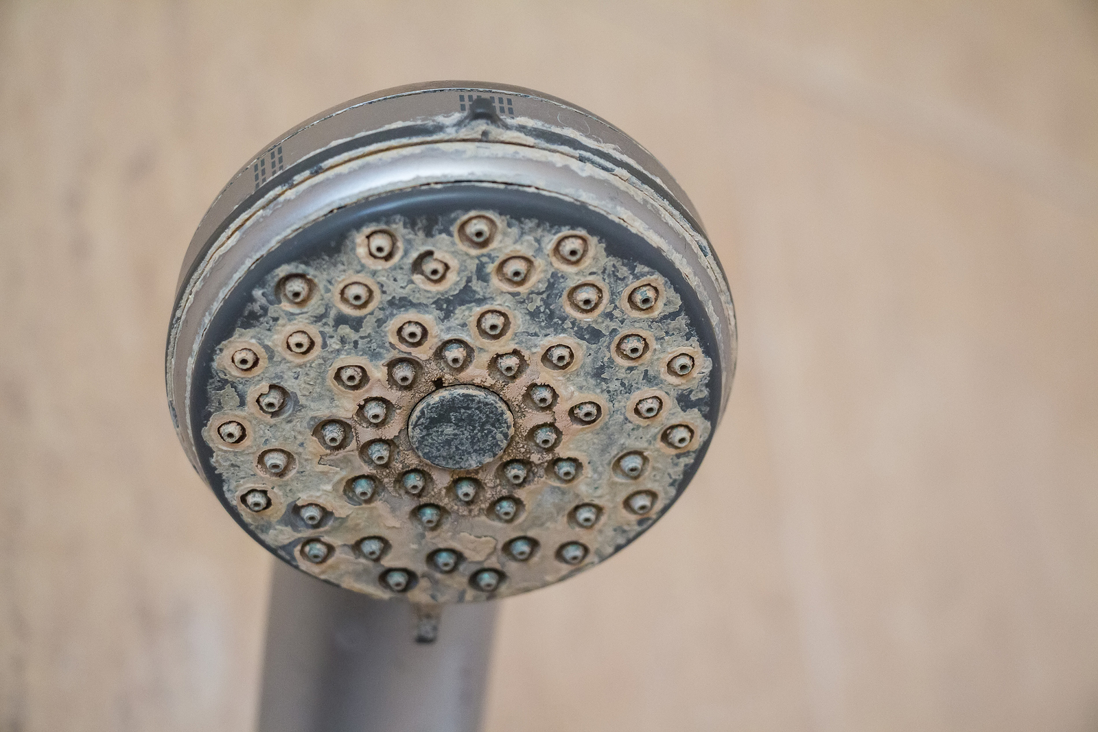 hard water limescale buildup on shower head