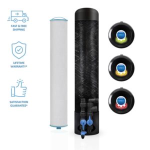 Whole House Lead & Cyst Removal System