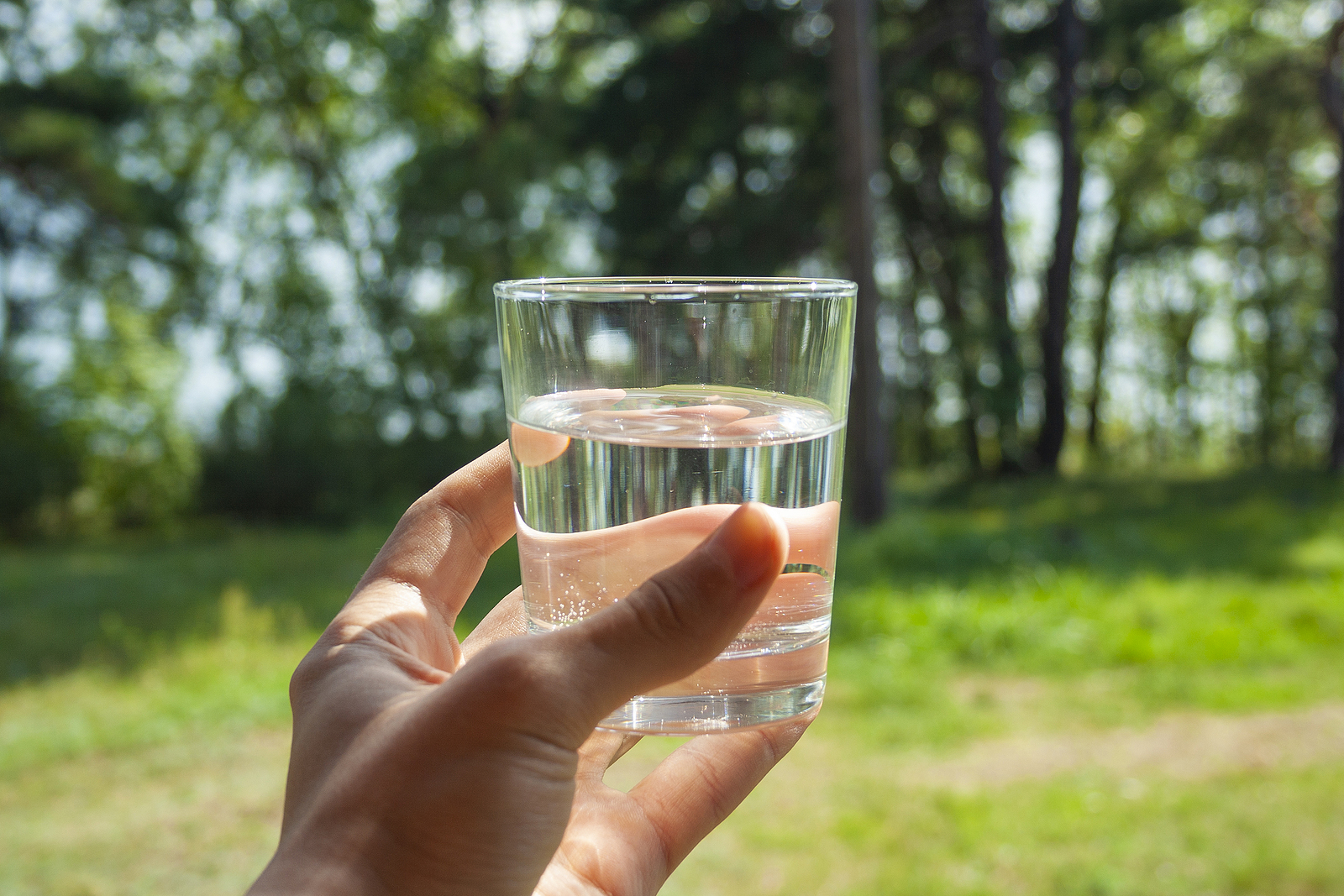 is it safe to drink purified water?