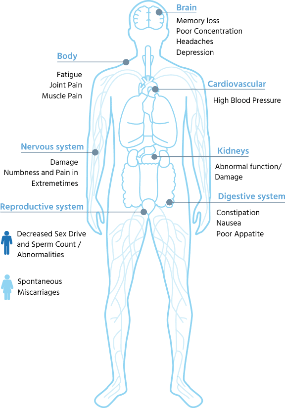 diagram of water filter flow
