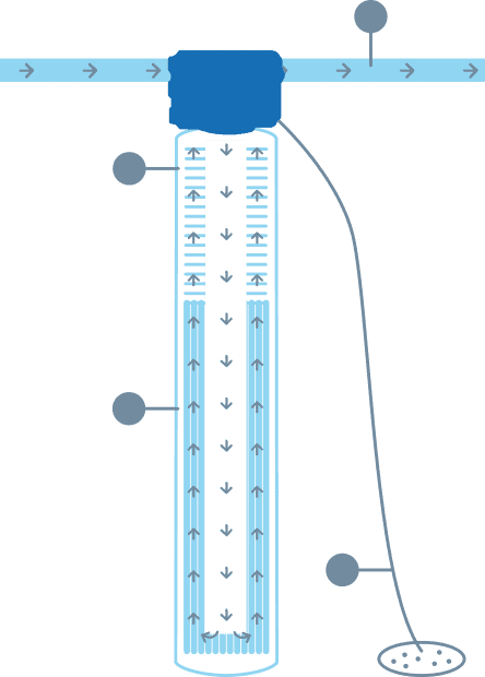 Is It Safe to Drink Bottled Water Left in a Hot Car? - SpringWell Water  Filtration Systems