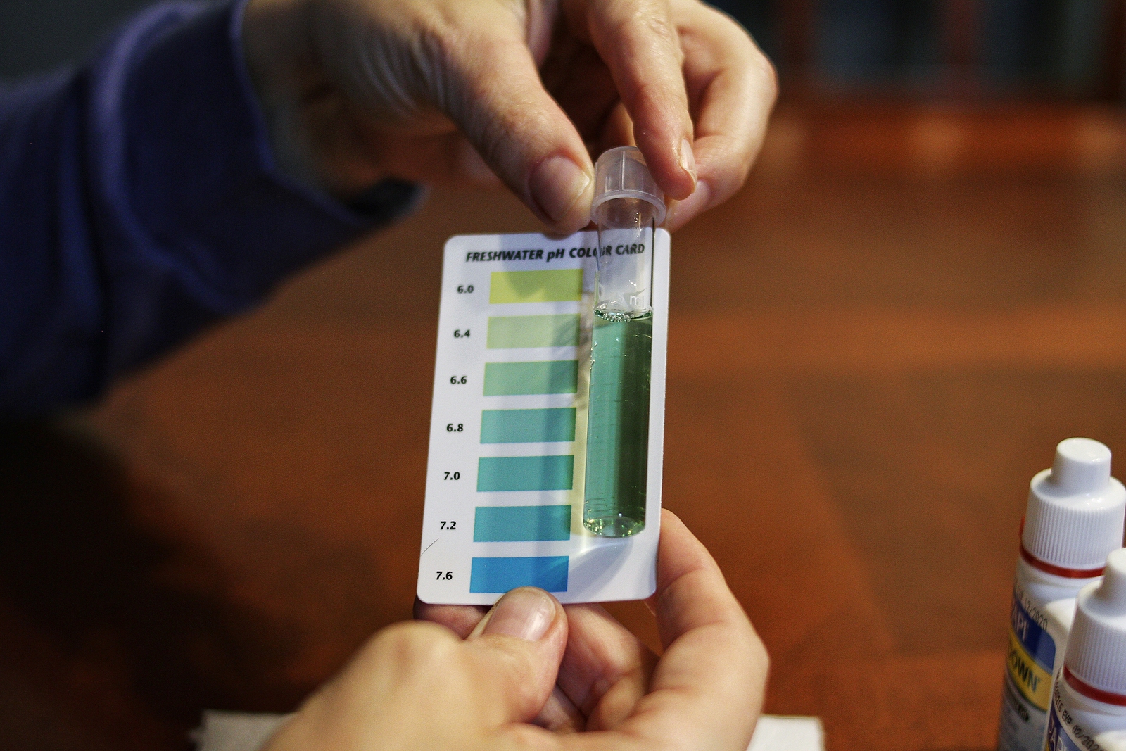 temperament atmosfeer seksueel PH Explained: Understanding pH in Your Drinking Water - SpringWell Water  Filtration Systems