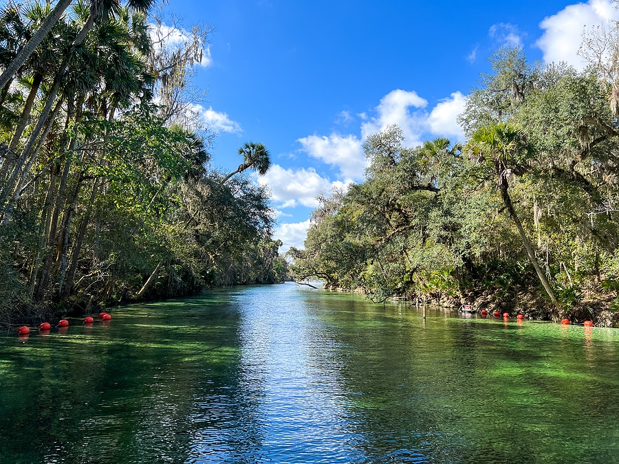 Springs in Florida