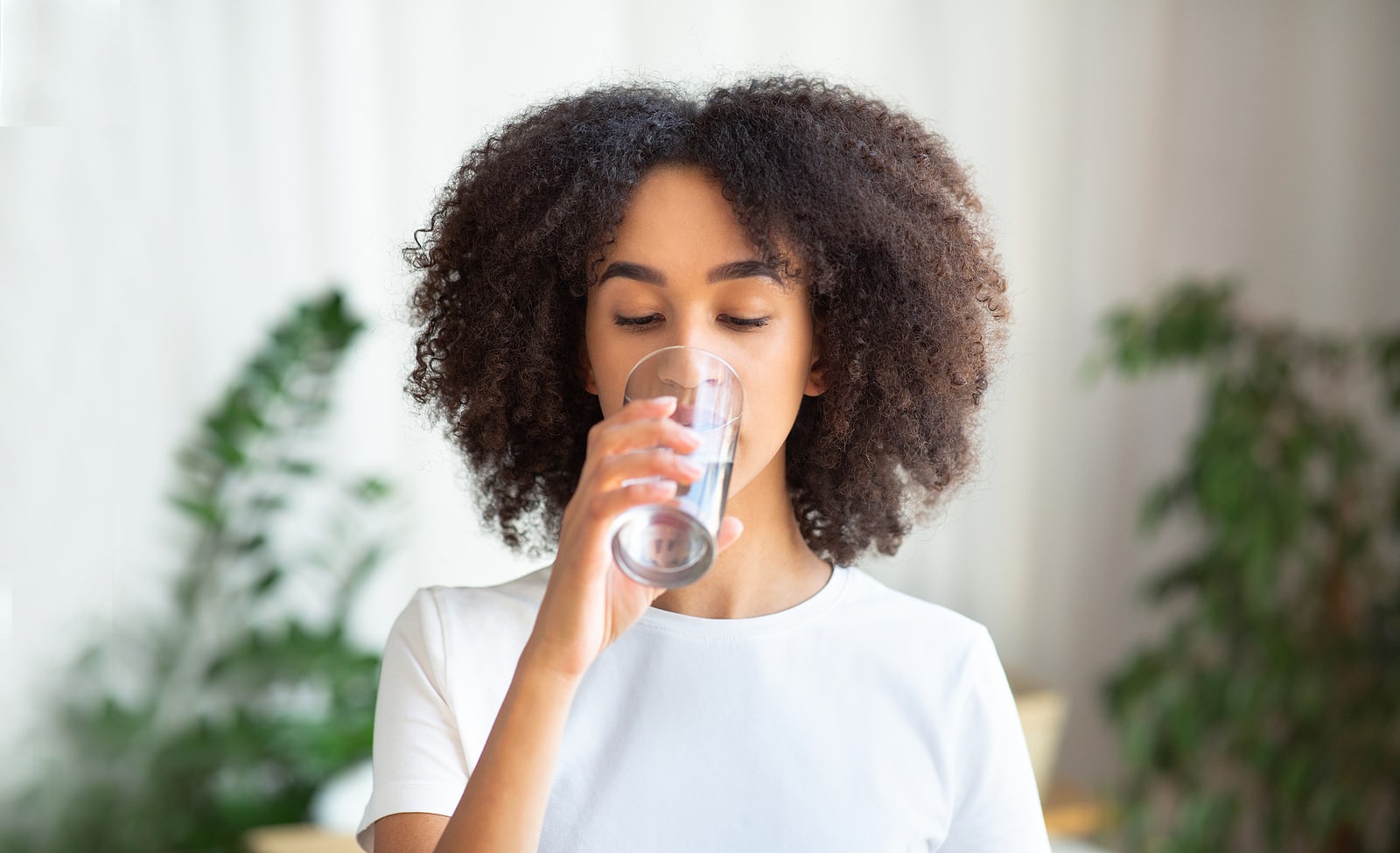 Sparkling Water Brands With Low PFAS Chemicals - Healthier Seltzers