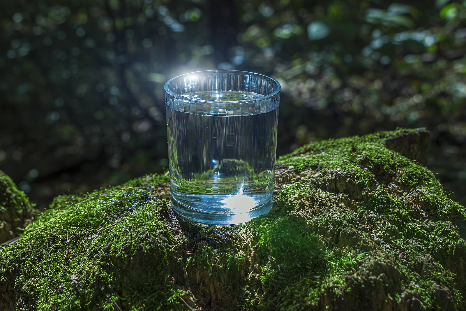 Natural Artesian Well