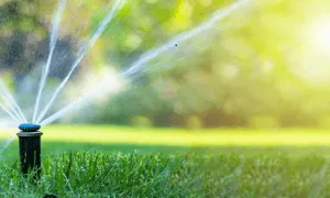 Nitrates Water Runoff on Grass